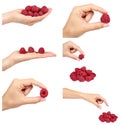 set of different Organic fresh raspberry with hand isolated on a white background Royalty Free Stock Photo