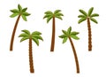 Set of palm trees, colorful picture, flat style, isolated icon. Vector illustration on white background. Royalty Free Stock Photo