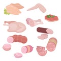 Set of different parts of meat products. Chicken, sausages, sausage, bacon and others