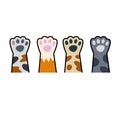 Set of different paw. Cat hands of different colors. White, black, red, grey animal with fur.