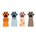 Set of different paw. Cat hands of different colors.