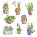 Set of different perennial flowers in the pots and wicker baskets. Made in the technique of colored pencils. Hand drawn Royalty Free Stock Photo