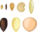 Set of different plant seeds