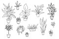 Set of different plants, cactus. Hand drawn illustration.