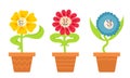 Set of different potted flowers.