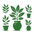 Set different potted houseplants silhouettes. Indoor flowers or plants Royalty Free Stock Photo