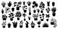 Set of different potted houseplants silhouettes. indoor flowers or plants in flowerpots or vases flat vector illustrations