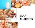 Set of different products causing food allergies Royalty Free Stock Photo