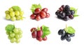 Set with different ripe grapes Royalty Free Stock Photo