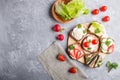 Set of different sandwiches with cheese, radish, lettuce, strawberry, sprats, tomatoes and cucumber on wooden board on a gray Royalty Free Stock Photo