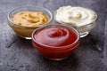 Set of different sauces: mustard, ketchup, mayonnaise. Royalty Free Stock Photo