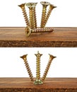 Set of different screws screwed into wooden plank