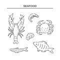Set different sea products line doodle icons. Varieties marine food vector sketch black isolated illustration on white