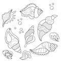 Set with different sea shells. Contour linear illustration for coloring book. Anti stress picture. Line art design for adult or Royalty Free Stock Photo