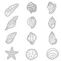 Set with different sea shells. Contour linear illustration for coloring book. Anti stress picture. Line art design for adult or Royalty Free Stock Photo