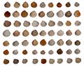 Set of different sea shells isolated white background Royalty Free Stock Photo