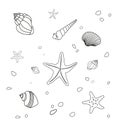 Set of different sea stars and sea shells hand drawn line doodles isolated on white background Royalty Free Stock Photo