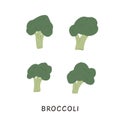 Set of different shaped Broccoli with stalks and tops. Brocoli with lush heads and stems. Green brocolli vegetables