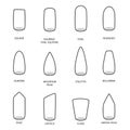 Set of different shapes of nails on white. Nail shape icons.