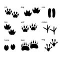 A set of different silhouettes of paws of animals. Vector illustration