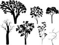 Set of different silhouettes of trees.