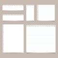 Set of different size ruled and blank note, notebook, copybook paper sheets.