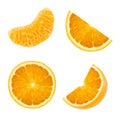 Set of different slices of sweet juicy orange fruit isolated on white