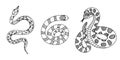 Set of different snakes with hand drawn outline. Vector collection of elapidae, python, rattlesnake. Tropical or Wild