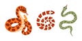 Set of different snakes. Hand drawn vector collection of elapidae, python, rattlesnake. Tropical or Wild West poison Royalty Free Stock Photo