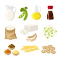 Set of different soy product in a flat cartoon style milk, oil, soy sauce, flour, tofu, miso, meat, tofu skin, sprouts