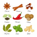 Set of different spices star anise, cinnamon, cloves, cardamon,