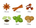 Set of different spices star anise, cinnamon, cloves, cardamon,