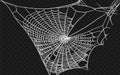 Set of different spiderwebs isolated on black, easy to print. Halloween set with web. Vector Illustration