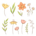 Set of different spring flowers and herbs. Crocuses, daisies and lilies of the valley. Imitation of watercolor handmade