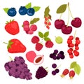 Set of different summer berries