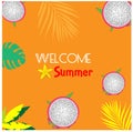 Set of different Summer poster or template design