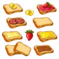 Set of different toasts with various topping isolated on white. collection of wheat sandwiches vector illustration