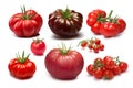 Set of different tomato varieties Royalty Free Stock Photo