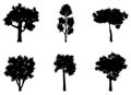 Set of different tree silhouettes