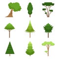 Set of different trees oak, sequoia, spruce, pine, cedar, maple, linden. Vector illustration. Isolated on white background