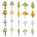Set of different trees with seasonal design. Cartoon trees in snow and leaves isolated on white background. Vector illustration Royalty Free Stock Photo