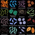 Set of different types of bacterias on black background, vector illustration Royalty Free Stock Photo