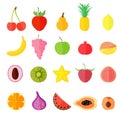 Set with 20 Different types of Exotic and Common Fruits