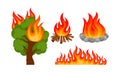 Set of different types of fires. Vector illustration on a white background. Royalty Free Stock Photo