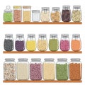 Set of different types of jars with grains, nuts, seeds beans on shelf