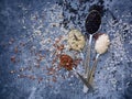 Set of different types rice on grey background: white glutinous, black, basmati, brown and mixed rice. Healthy concept. Top view. Royalty Free Stock Photo