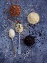 Set of different types rice on grey background: white glutinous, black, basmati, brown and mixed rice. Healthy concept. Top view. Royalty Free Stock Photo