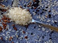 Set of different types rice on grey background: white glutinous, black, basmati, brown and mixed rice. Healthy concept. Top view. Royalty Free Stock Photo