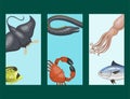 Set of different types of sea animals cards illustration tropical character wildlife marine aquatic fish Royalty Free Stock Photo