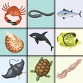 Set of different types of sea animals illustration tropical character wildlife marine aquatic fish Royalty Free Stock Photo